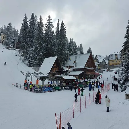 Yesa * Травник