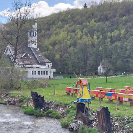 Yesa Travnik